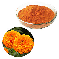 China Manufacturer Supply High Quality Pure Lutein Organic Marigold Flower Extract