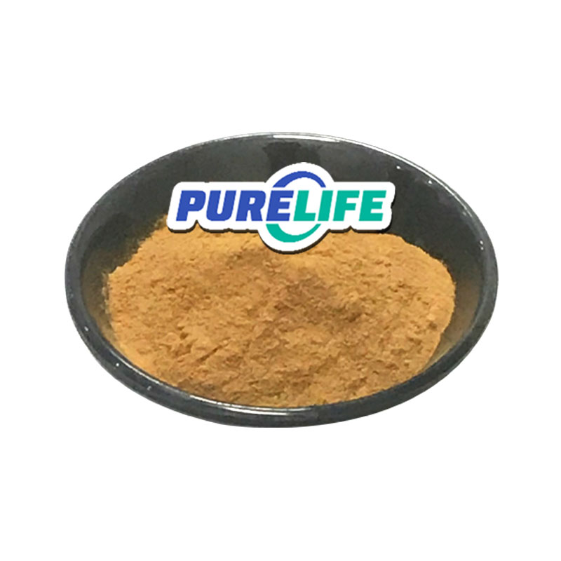 Natural Bacoside Extract Organic 20% Bacopa Monnieri Extract Powder Boswellia Serrata Extract 65% 90