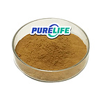 Organic Purity Natural 4% Polyphenols 1% Cichoric Acid Echinacea Purpurea Extract Echinacea Extract 