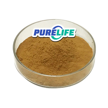 Organic Purity Natural 4% Polyphenols 1% Cichoric Acid Echinacea Purpurea Extract Echinacea Extract 