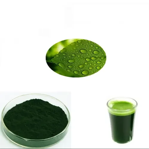 Good Price Natural Plant Extract E80 E568 Sodium Copper Chlorophyllin Powder