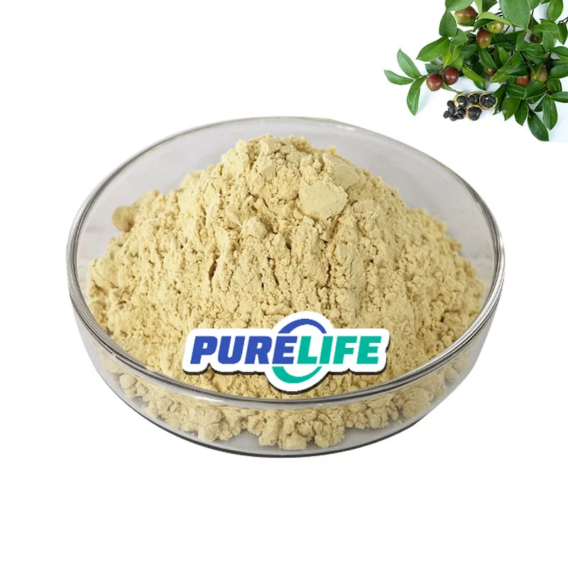 Wholesale Food Grade Free Sample Camellia Sinensis Extract Tea Saponin Powder