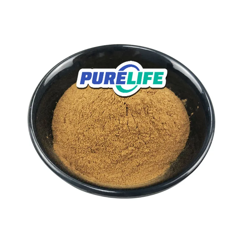 High Quality Trigonelline Saponins Trigonella Foenum Graecum Fenugreek Seed Extract