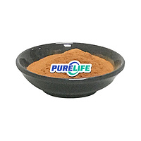 Hot Selling Bulk Pure Natural Polysaccharides Sang Hwang Mushroom Phellinus Linteus Extract Sang Hwa