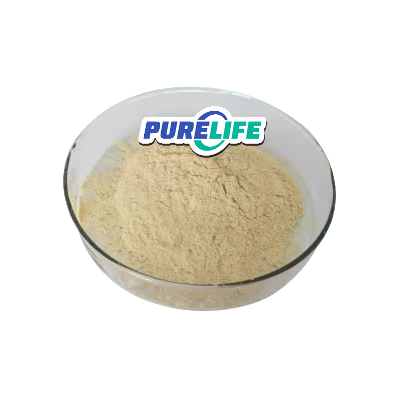 Dietary SupplementSoy Phytosterol Powder Soybean Extract 95% Phytosterol