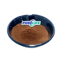 Best Price Pure Natural 95% Proanthocyanidins Raw Material Pine Bark Extract Powder