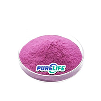 High quality Bulk Price Cruciferous Vegetable Purple Cabbage Extract