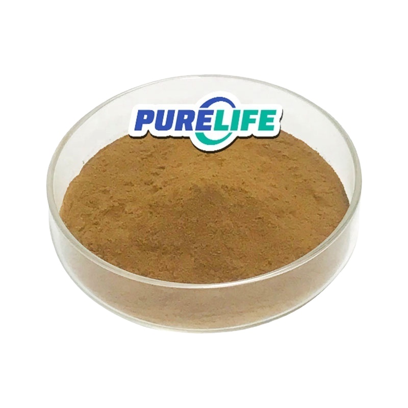 Good Health Free Sample 10:1 Adenophora Tetraphylla Powder Natural Adenophora Extract