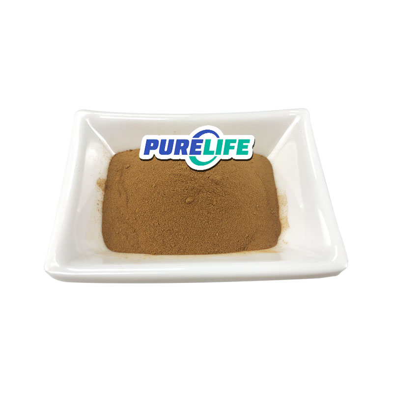 High Quality Zhimu Rhizoma Food Grade Common Anemarrhena Extract