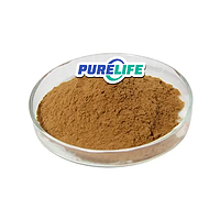 High Quality Organic Natural Codonopsis Root Extract