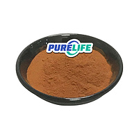 High Quality Best Bulk Radix Notoginseng Extract Notoginsenoside/Radix Notoginseng Extract Powder