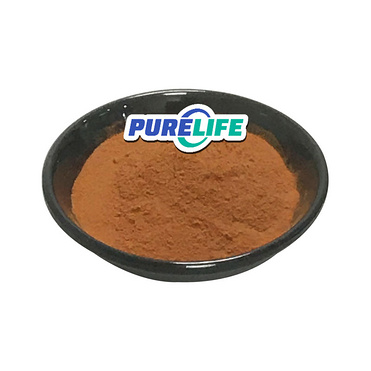 High Quality Best Bulk Radix Notoginseng Extract Notoginsenoside/Radix Notoginseng Extract Powder