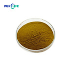 Free Sample High quality Organic Green Cardamon Seed extract 10:1