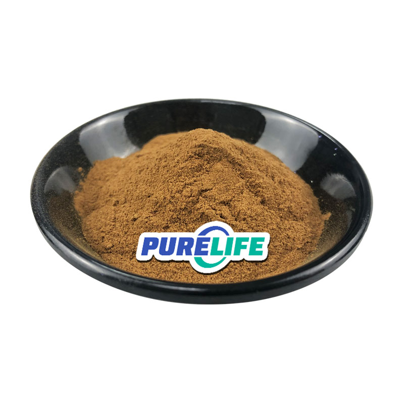 Bulk Mango Seed Extract Powder Fruit Powder African Mango Seed Extract In Bulk