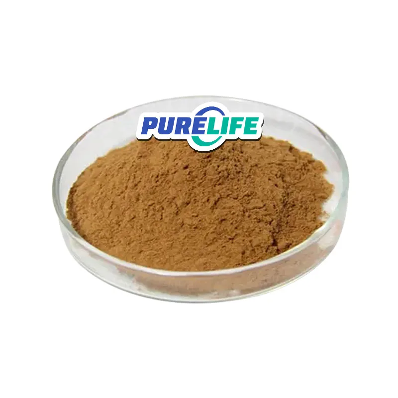 High Quality Bulk Free Sample Polygala Thinleaf Milkwort Extract