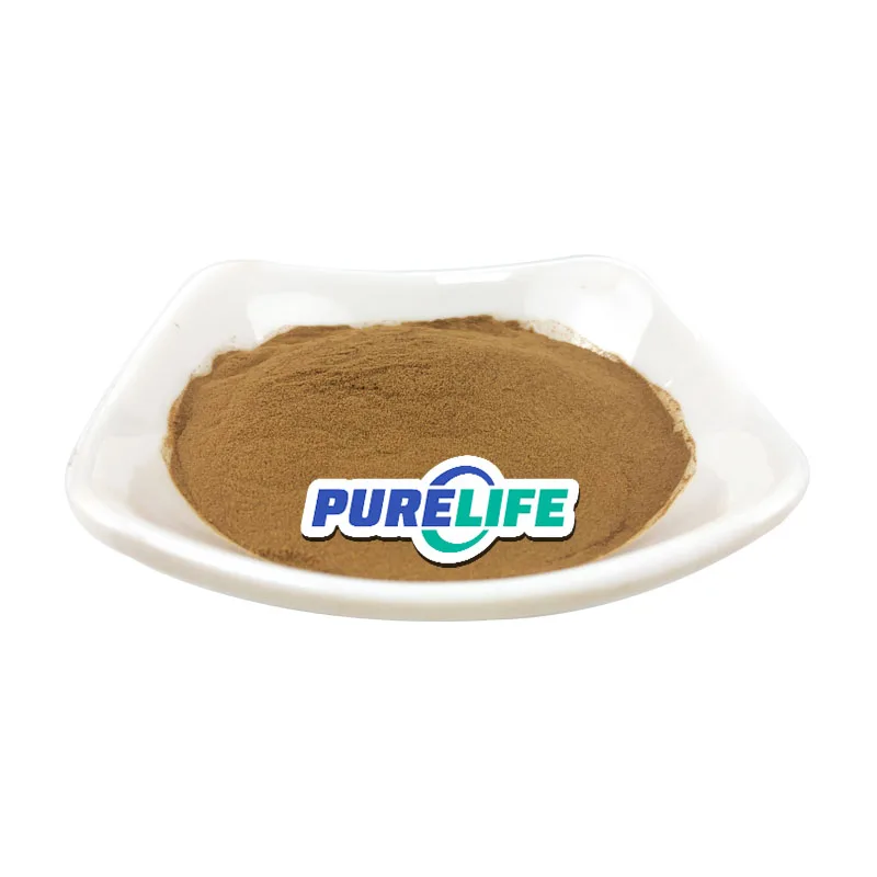 Wholesale Price High Quality Kelp Extract Brown Algae Extract Kelp Algas Powder With 5% Iodine