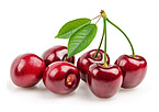 Acerola fruit extract