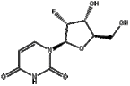 2'-Fluoro-2'-deoxyuridine