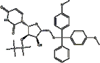 5'-O-DMT-2'-TBDMS-Uridine