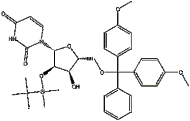 5'-O-DMT-2'-TBDMS-Uridine