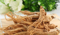 American Ginseng Root Extract