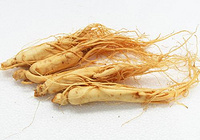 Ginseng Root Extract