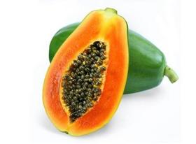 Papaya Extract