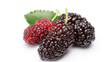 Mulberry Fruit Extract