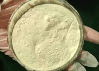 Piroxicam- ? -Cyclodextrin