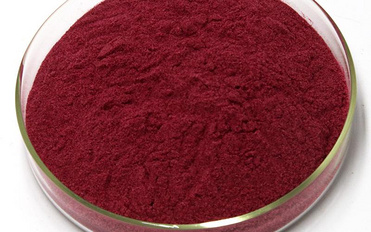 Grape Seed Extract