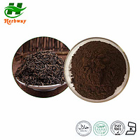 Dark Tea powder