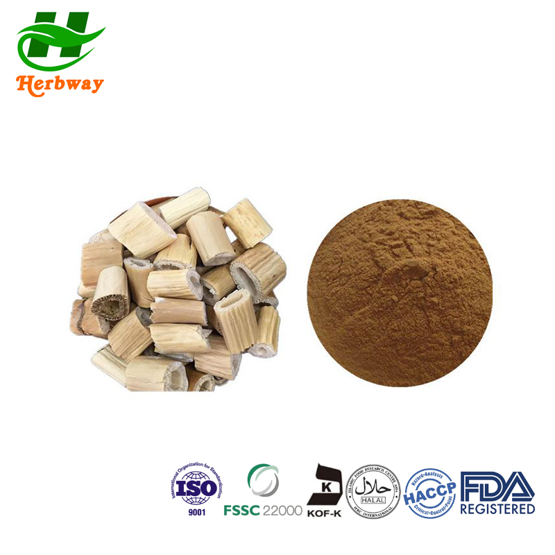 rhizoma phragmitis powder