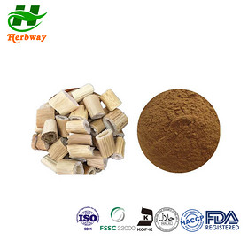 rhizoma phragmitis powder