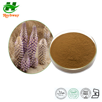 Cistanche Tubulosa Extract?