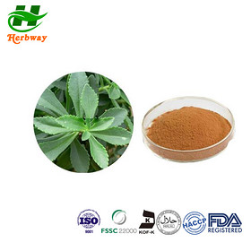 Flat chrysanthemum panax powder