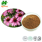 Echinacea Purpurea Extract