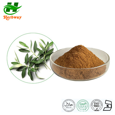 Olive Leaf Extract