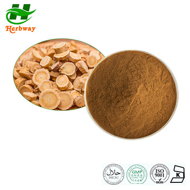 Astragalus Root powder