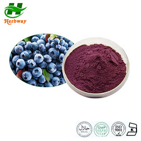 blueberry powder