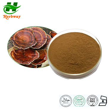 Reishi Mushroom Extract