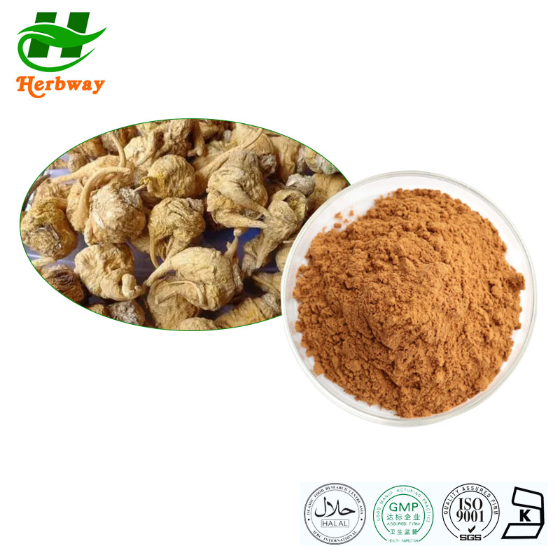 Maca powder