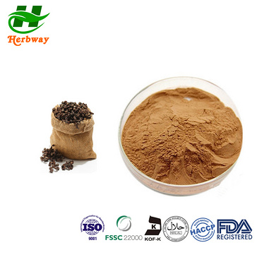 Hovenia dulcis Thunb powder