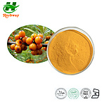 Sea buckthorn powder