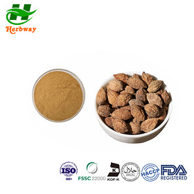 Sharpleaf Galangal Fruit powder