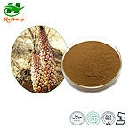 Desert cistanche powder