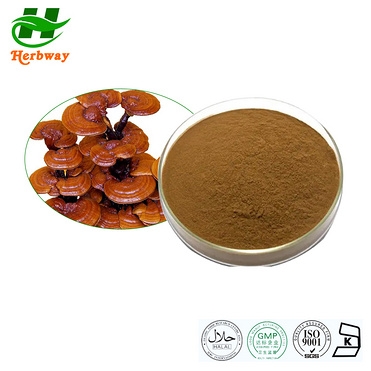 reishi Mushroom powder