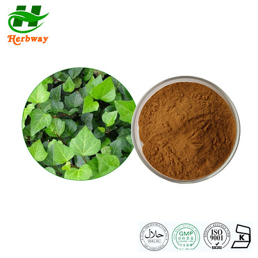 IVY Leaf Extract