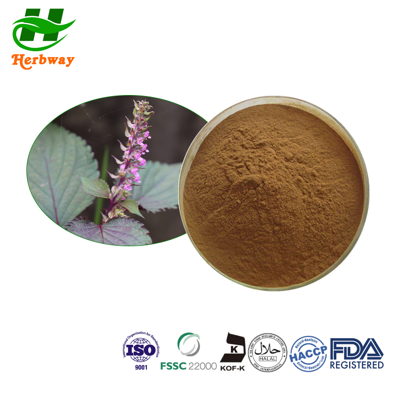 perilla seeds powder