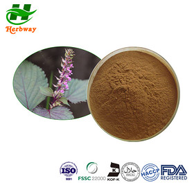 perilla seeds powder