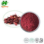 Hibiscus Flower Extract